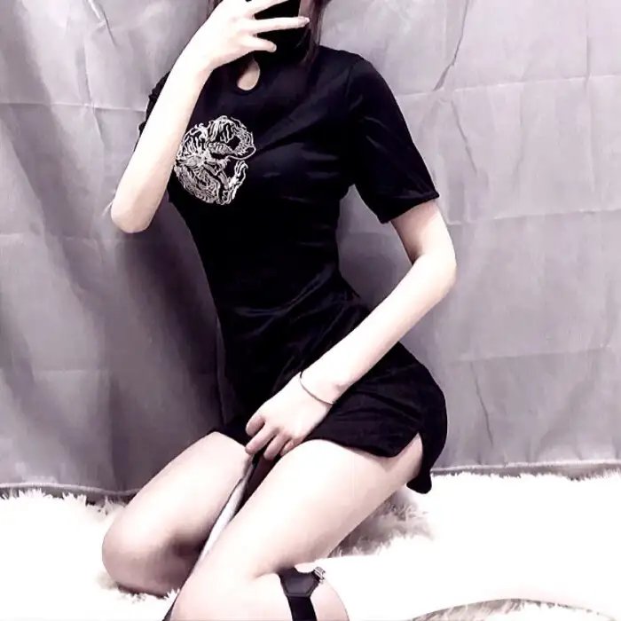 驯龙宝典